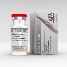 UPA Test E300
